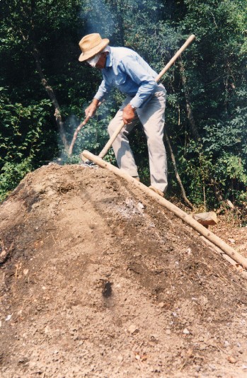  Image name: 03 Carbonai.jpg 
 width: 349 pixel 
 height: 534 pixel 
 Size: 96386 bytes 
 Click to enlarge 